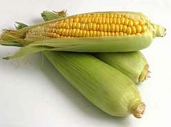 Organic ethanol