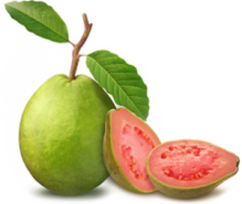 Frunze de Guava