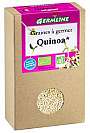 Quinoa alba pentru germinat Bio 