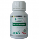 ProstatoSinergic, Synergy Plant